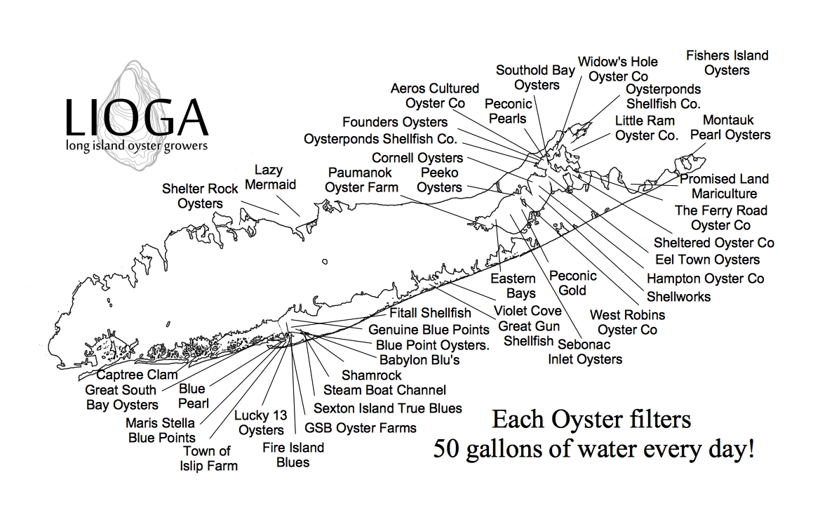 Map of Long Island Oyster Farms